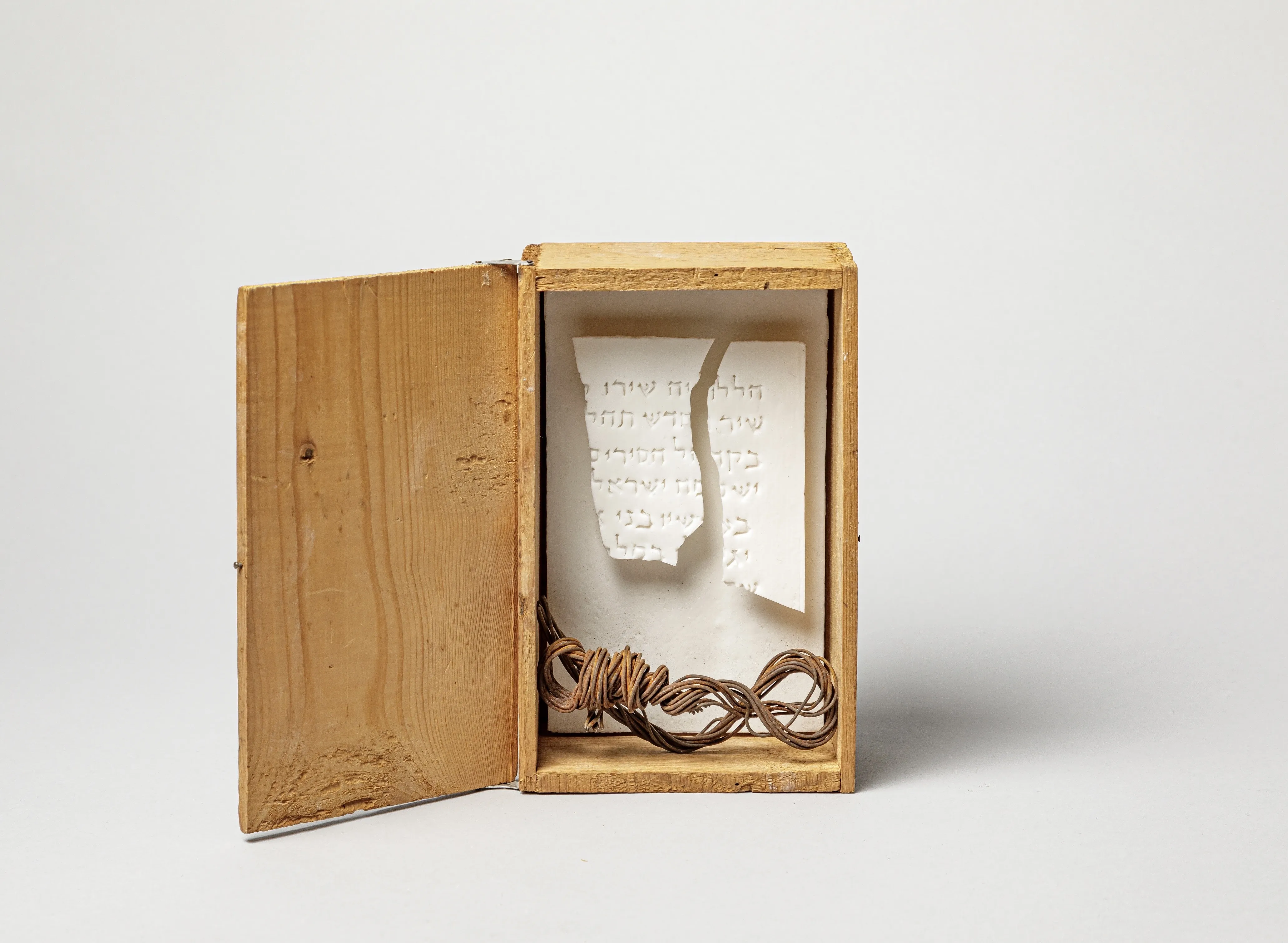 PRECIOUS BEING — œuvre d’Elisabeth Raphael (15/17)